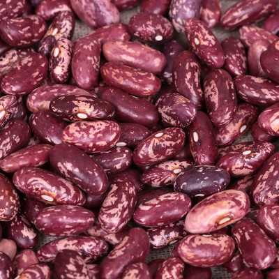 东北红花花芸豆现货批发 椭圆形紫花芸豆奶花豆 散装花芸豆