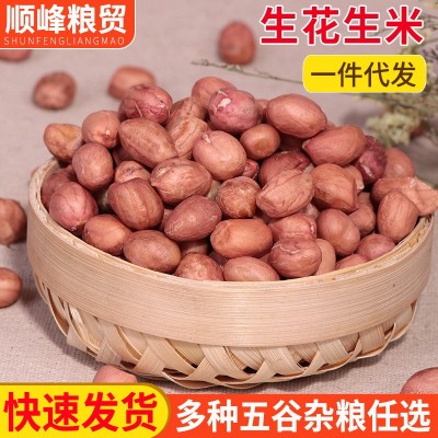 生花生米产地直供 现货大白沙小白沙 榨煮食品榨油原料散装