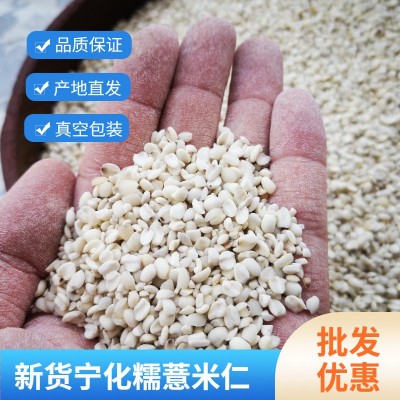 新货福建薏仁米宁化糯薏米农家新鲜薏米仁小薏仁米仁薏苡仁5 00g