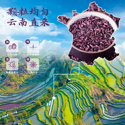 墨江紫米厂家直销真空包装一件代发批发五谷杂粮礼盒集采福利图2