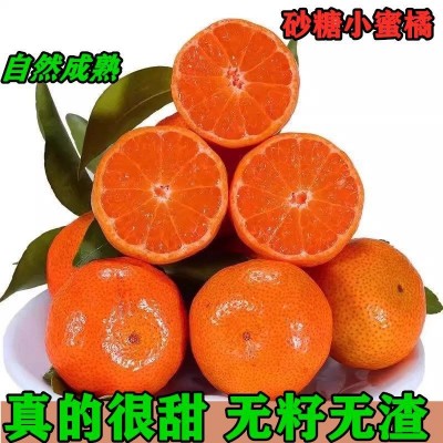 现摘金秋砂糖小蜜橘当季水果黄皮蜜桔水果无籽薄皮桔子冰糖橘