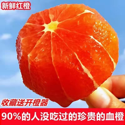 现货现摘中华红血橙批发新鲜水果红肉红心橙当季应季甜橙一件代发图2