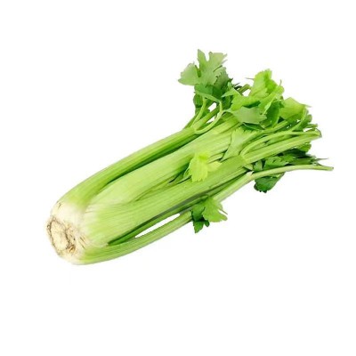 榨汁西芹新鲜去叶采摘农家自种嫩心青菜香芹5斤加冰中通快递图5