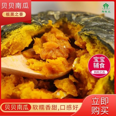 板栗南瓜甜南瓜贝贝小南瓜甜糯老南瓜整箱新鲜蔬菜批发图5