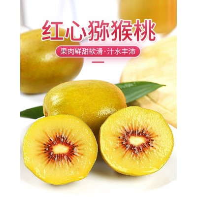 四川蒲江红心猕猴桃新鲜奇异果应当季孕妇水果大果整箱包邮水果