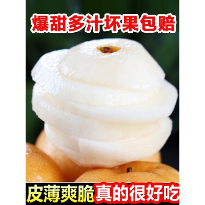 顺丰正宗莱阳秋月梨冰糖新鲜4/5斤梨子山东大果当季甜礼盒装家庭图4