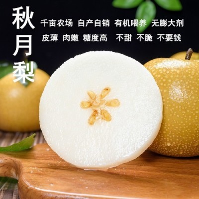 顺丰正宗莱阳秋月梨冰糖新鲜4/5斤梨子山东大果当季甜礼盒装家庭图1