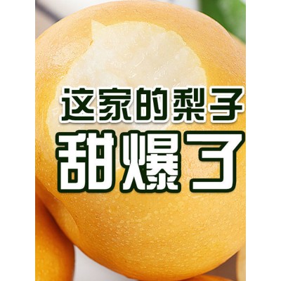 顺丰正宗莱阳秋月梨冰糖新鲜4/5斤梨子山东大果当季甜礼盒装家庭图2