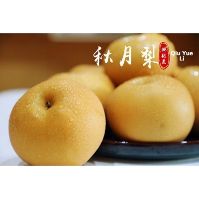 顺丰正宗莱阳秋月梨冰糖新鲜4/5斤梨子山东大果当季甜礼盒装家庭图3
