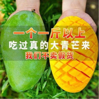 大青芒现摘云南爆甜甜心特大芒果当季水果整箱青皮极速发货独立站图2