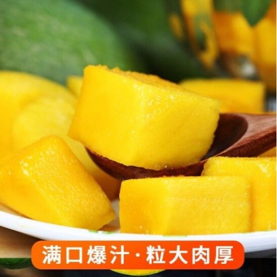 大青芒现摘云南爆甜甜心特大芒果当季水果整箱青皮极速发货独立站图4