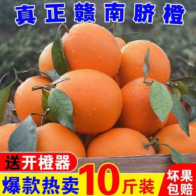 橙子批发【精品】正宗赣南脐橙新鲜甜橙孕妇水果冰糖果冻香橙包邮图4