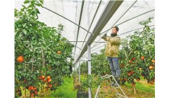 迎战寒潮冰冻，我省力保农业生产