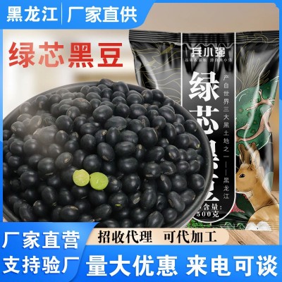 批发绿芯黑豆1斤生黑豆黑豆磨豆浆的原料五谷杂粮青仁大豆新货