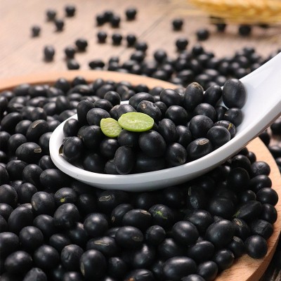 批发绿芯黑豆1斤生黑豆黑豆磨豆浆的原料五谷杂粮青仁大豆新货图2