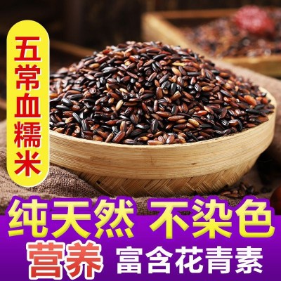 东北血糯米当季新米粽子饭团软糯500g 五谷杂粮 粗粮一件批发图3