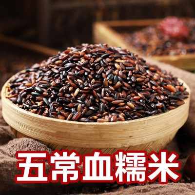 东北血糯米当季新米粽子饭团软糯500g 五谷杂粮 粗粮一件批发图2