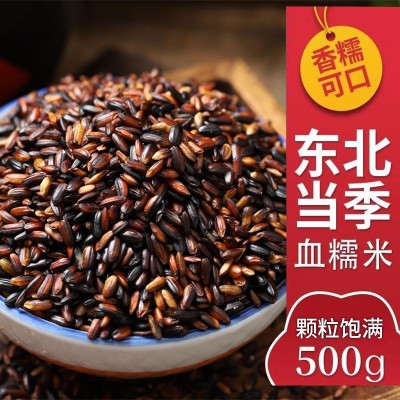 东北血糯米当季新米粽子饭团软糯500g 五谷杂粮 粗粮一件批发图4