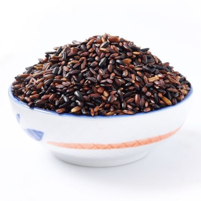 东北血糯米当季新米粽子饭团软糯500g 五谷杂粮 粗粮一件批发图5