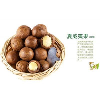 奇果满仓夏威夷果奶香味澳洲坚果奶油味大果厂家批发满包邮零食图2