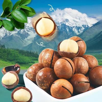 新货夏威夷果 奶油味坚果500g 网红休闲零食 大颗粒袋装夏威夷果图3