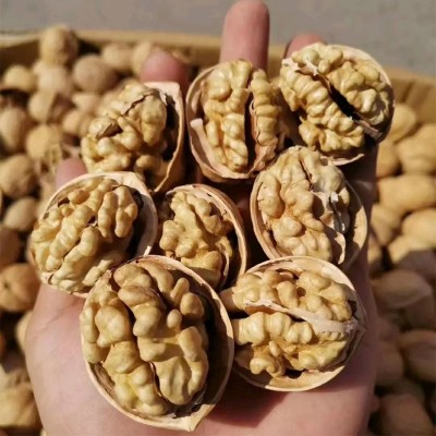 新疆特产薄皮核桃大量批发500g 代发新货 孕妇坚果零食薄皮核桃图3