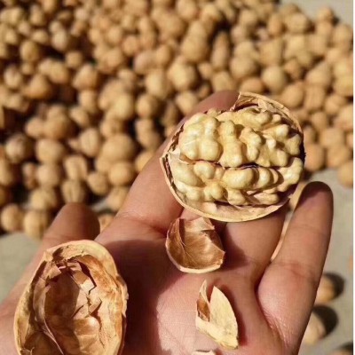 新疆特产薄皮核桃大量批发500g 代发新货 孕妇坚果零食薄皮核桃图2