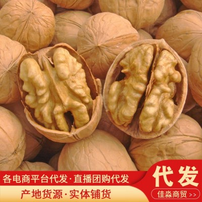 新疆特产薄皮核桃大量批发500g 代发新货 孕妇坚果零食薄皮核桃