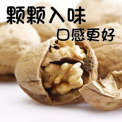代发手剥烤熟核桃500g 网红坚果炒货零食奶香熟核桃草本味烤核桃图3