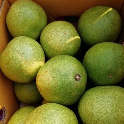 泰国青柚安帕瓦进口柚子蜂蜜柚青皮白心柚大果脆甜多汁图2