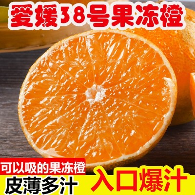 四川爱媛38号果冻橙10斤橙子新鲜当季水果柑橘蜜桔子整箱大果包邮