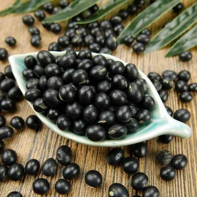 有机黑豆450g青仁绿芯大黑豆农家乌豆五谷杂粮豆浆豆绿心可泡醋图2