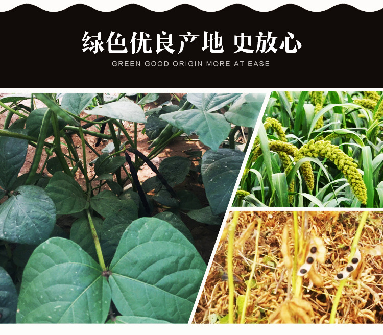 山药黑豆黑米粉_20