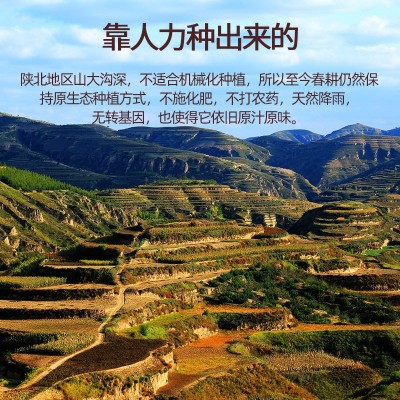 陕北农家自种扁豆真空装500g图5