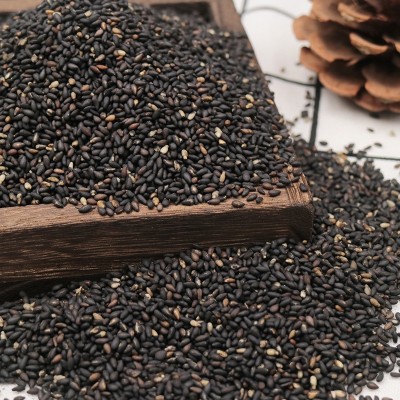 批发烘炒香熟黑芝麻仁五谷现磨坊榨油代餐粉糊 熟黑芝麻图3
