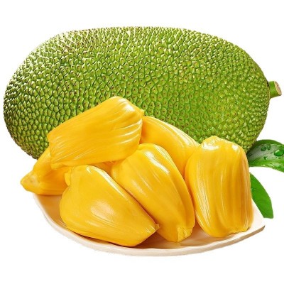 菠萝蜜一整个新鲜应季水果木菠萝红心假榴莲整箱批发一件批发图5