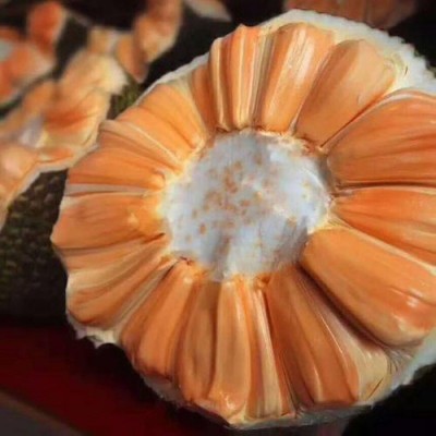菠萝蜜一整个新鲜应季水果木菠萝红心假榴莲整箱批发一件批发图3