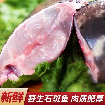 深海野生石斑鱼肉质鲜嫩营养美味石斑鱼冷冻珍珠斑鱼龙胆老虎斑图4