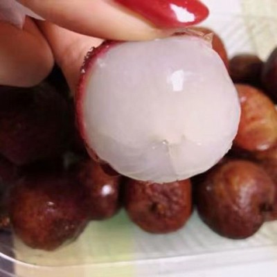 新鲜水果冷冻荔枝黑叶应季速冻荔枝孕妇水果奶茶店5斤整箱年货