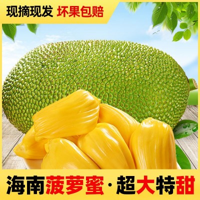 海南新鲜黄肉菠萝蜜水果当季水果25斤黄肉干苞靓果一件代发仓库供
