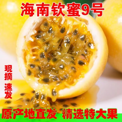 海南钦蜜9号黄金百香果批发特大果果园一件代发礼盒产地现摘现发图2