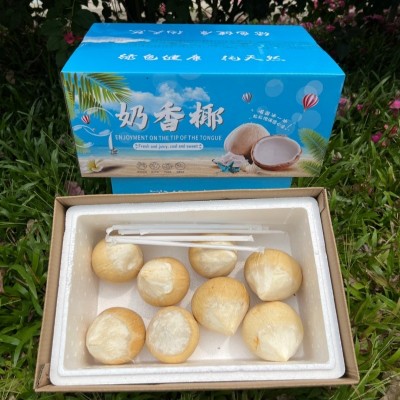 泰国泰鲜源进口小奶椰皇顺丰空运10个香水老椰子孕妇新鲜水果包邮图2