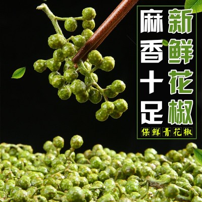 新鲜青花椒陕西渭南韩城保鲜花椒合阳家用藤椒麻椒湿花椒火锅调味