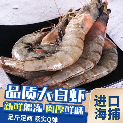 批发进口海捕南美白虾大冻虾鲜活对虾20/30白虾海捕青虾