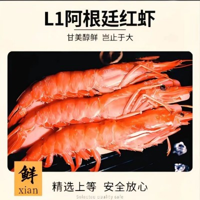 进口阿根廷红虾批发 冷冻新鲜个大红虾鲜活海捕海鲜水产船冻L1级图2
