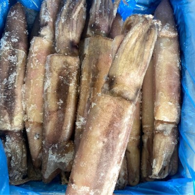 速冻原汁管鱿单冻鱿鱼鱿鱼须4.5kg/件 成都冻品批发海鲜餐饮食材图3