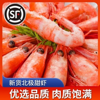 新货北极熊北极甜虾冰虾头籽虾冻虾大虾肚籽腹籽即食海鲜水产大虾