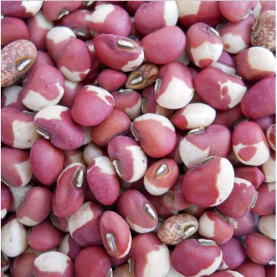 花豇豆 花豇豆批发 东北豇豆 豇豆批发 花豇豆大包 25kg 50斤图2