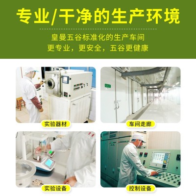 熟绿豆 五谷豆浆原料批发 袋装现磨烘焙绿豆 五谷杂粮 散装绿豆图3