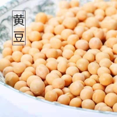 东北黄豆5斤散装新鲜豆浆大豆子发豆芽打豆浆专用批发杂粮图5